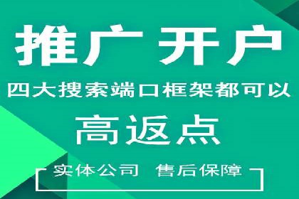 短视频平台的SEM推广实践与效果